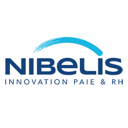Logo Nibelis Innovation